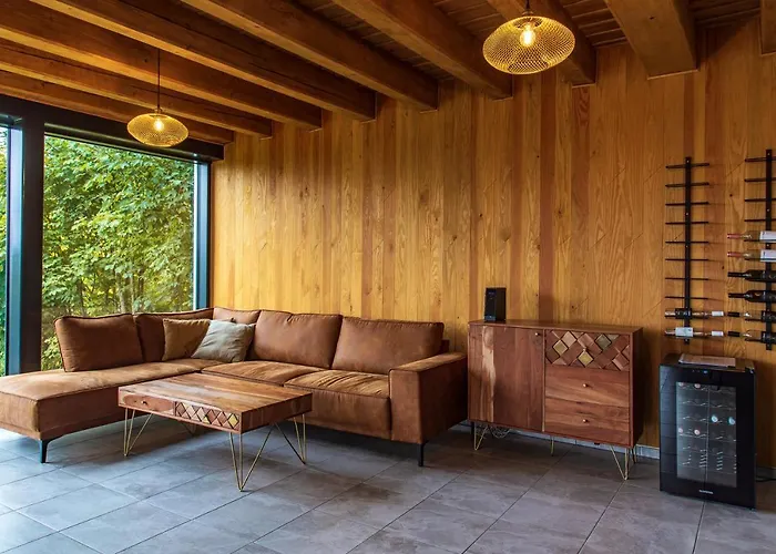 Viola Chalet Dolní Morava